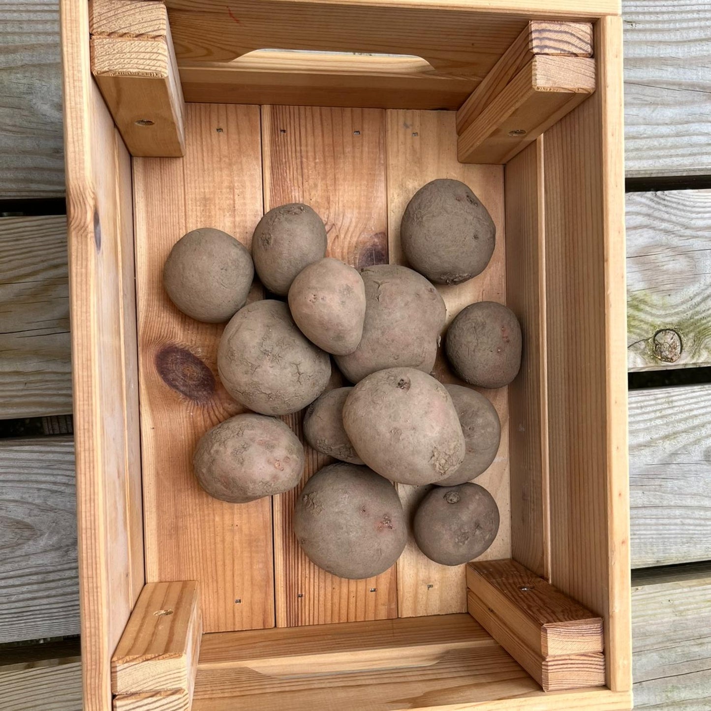 Bildstar aardappelen 3 kilo (nieuwe oogst)