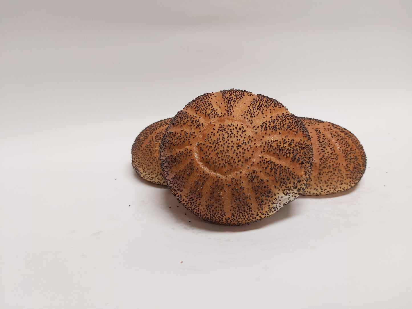 Witte maanzaad bolletjes (4 stuks)