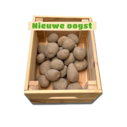 Nieuwe Frieslander aardappelen